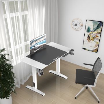 Höhenverstellbarer Tisch Visalia elektrisch 110x60cm in versch. Farben [pro.tec]